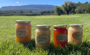 New in the Golf Sainte Baume store: honey harvested on site! - Open Golf Club