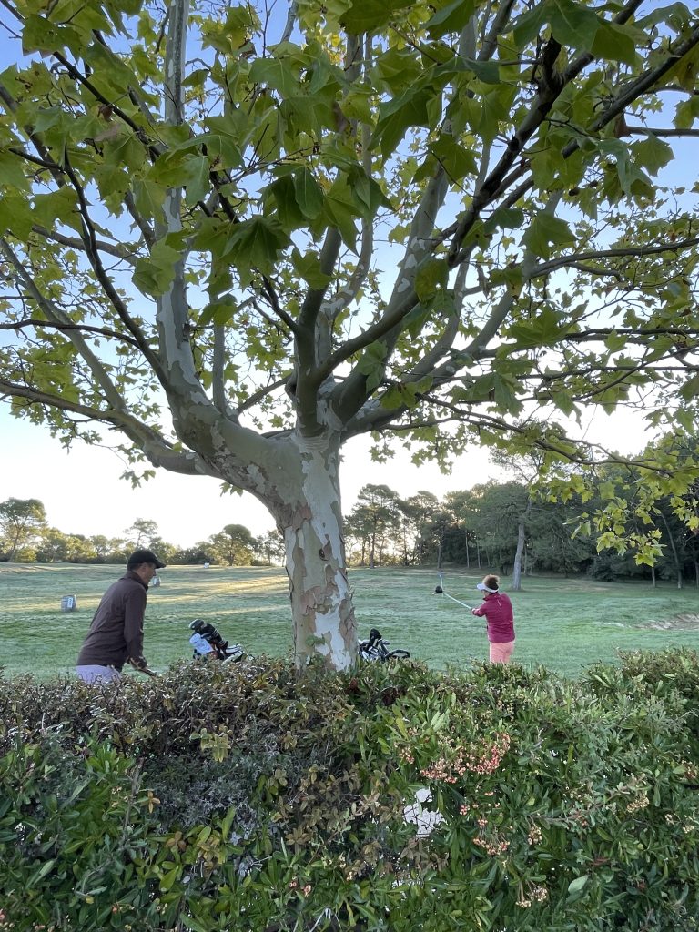 Performez au golf à Nans Les Pins avec le Programme Golf Performance