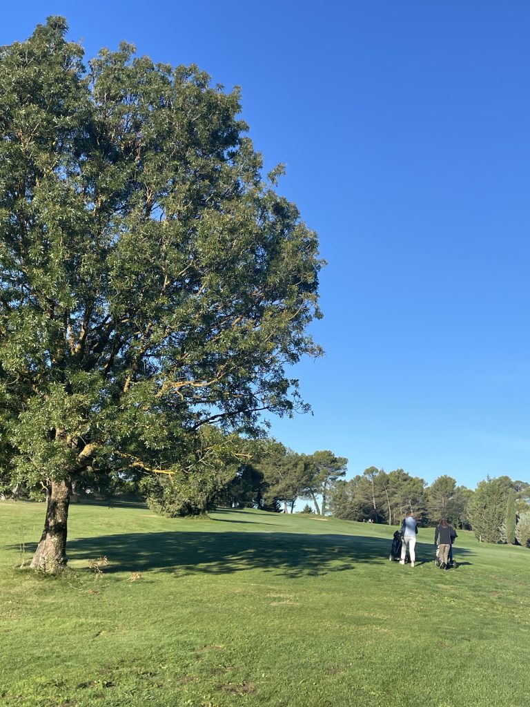 Performez au golf à Nans Les Pins avec le Programme Golf Performance